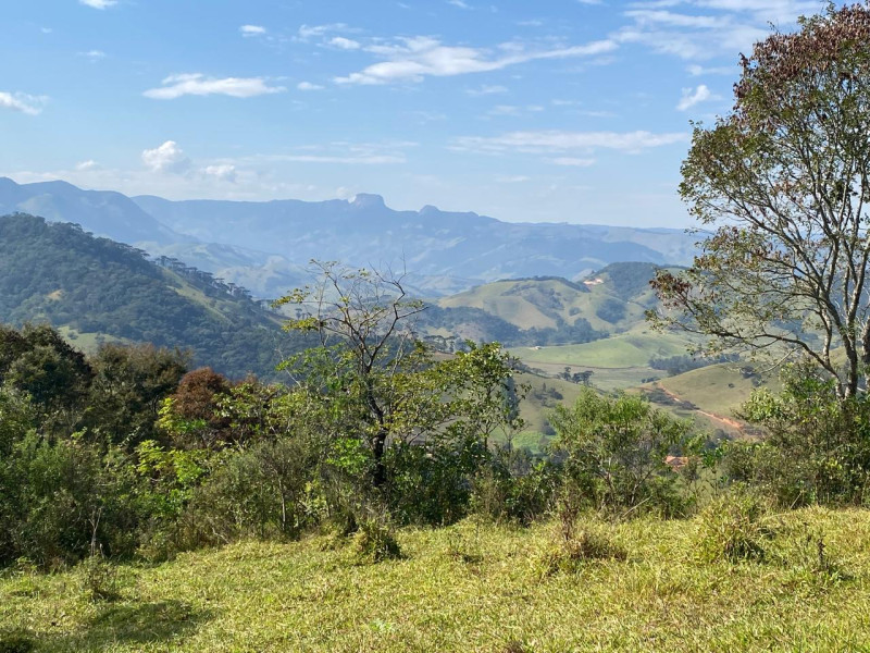 Área em Gonçalves
