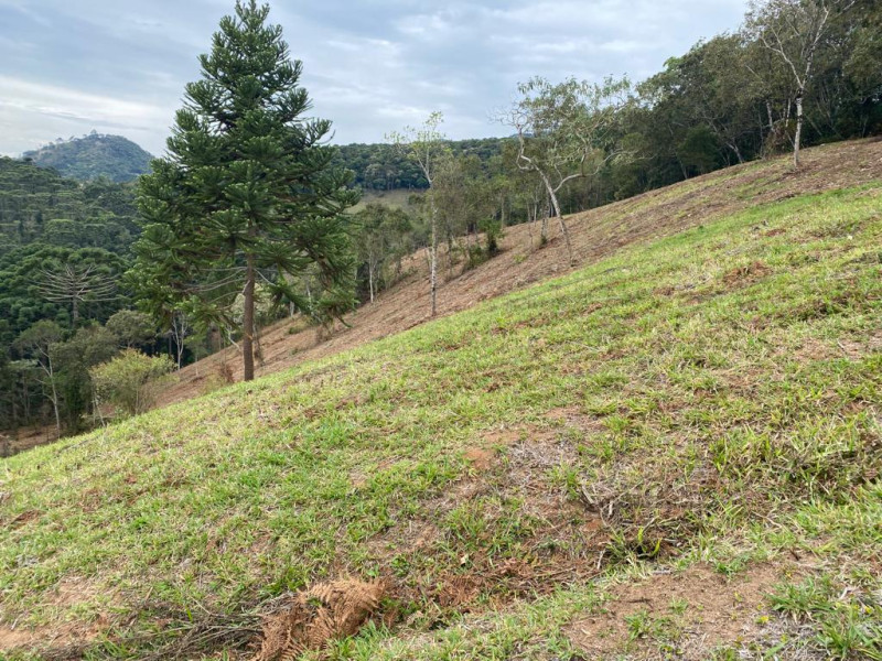 Área em Gonçalves