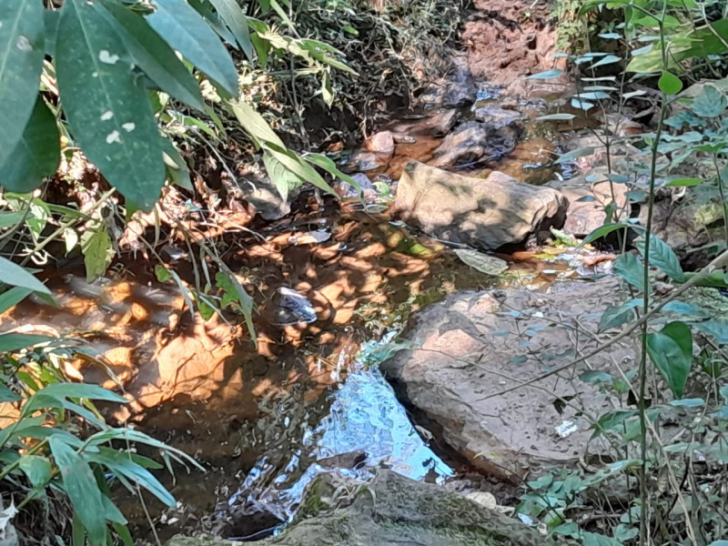 Sítio em Paraisópolis