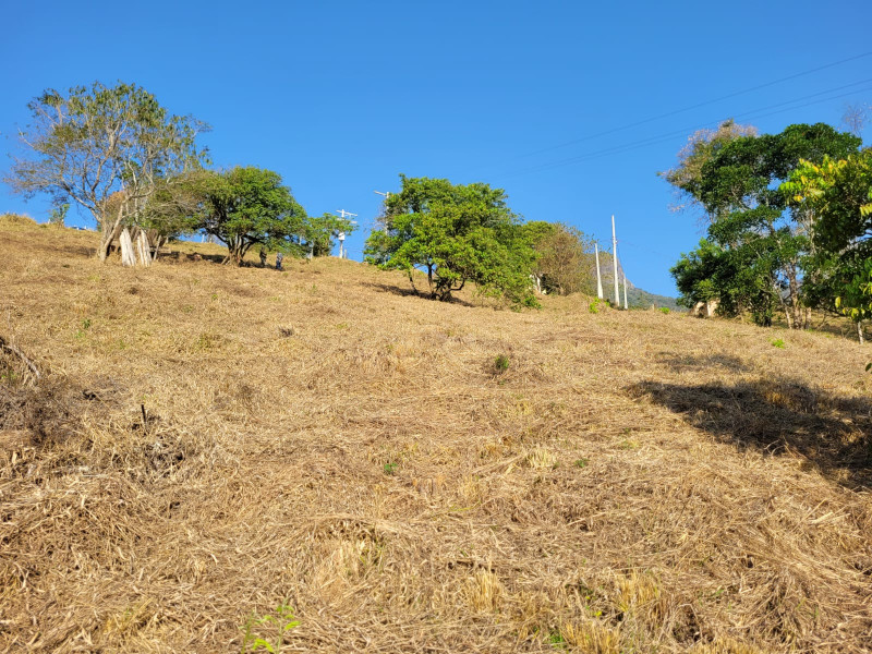 Área em São Bento do Sapucaí