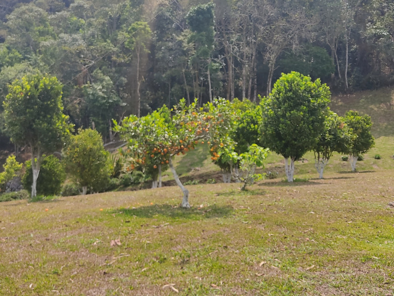 Sítio próximo a Gonçalves