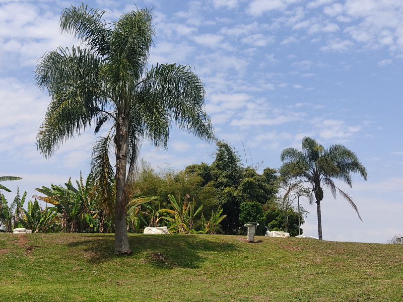 Sítio próximo a Gonçalves