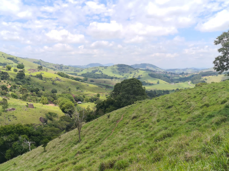Área em Paraisópolis