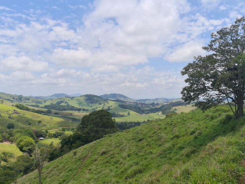Área em Paraisópolis