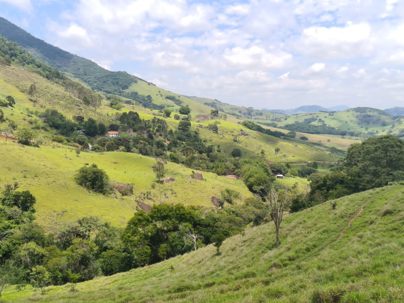 Área em Paraisópolis