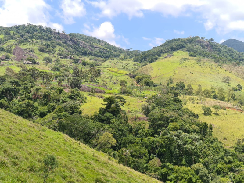 Área em Paraisópolis
