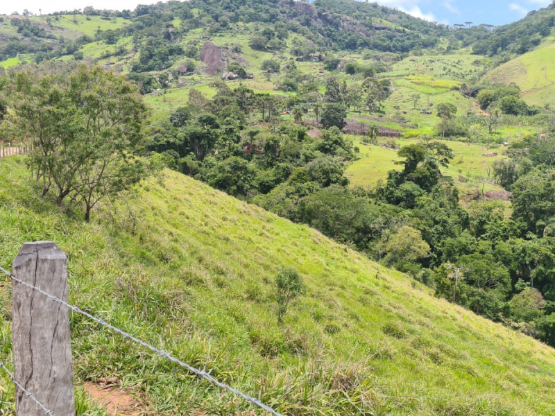 Área em Paraisópolis