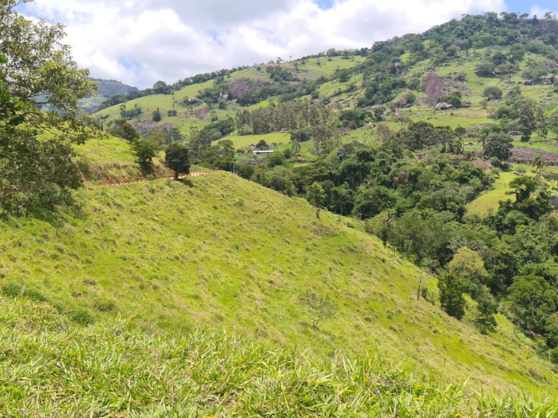 Área em Paraisópolis