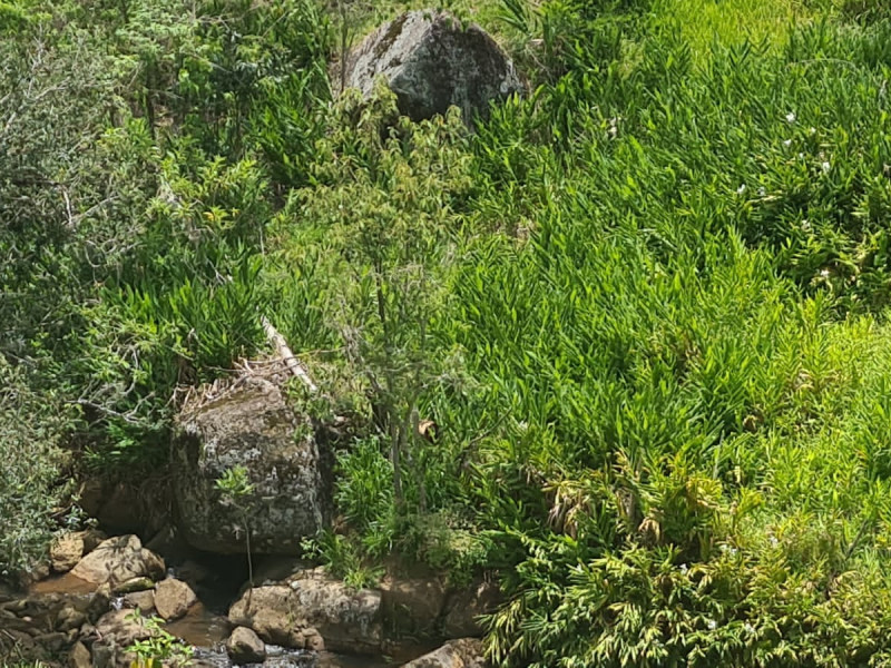 Área em Paraisópolis