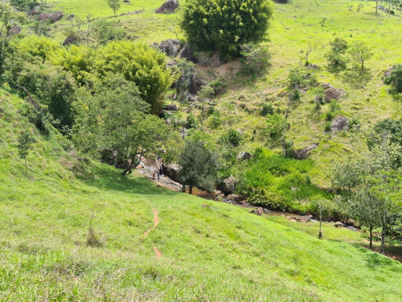 Área em Paraisópolis