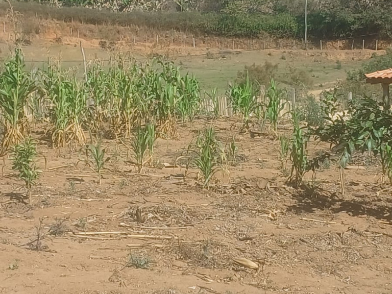 Chácara em Brazópolis