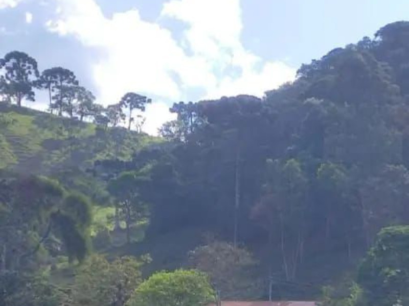 Chácara próximo a Gonçalves