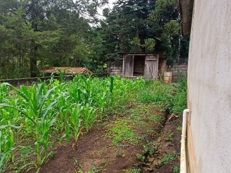 Casa no Distrito dos Costas