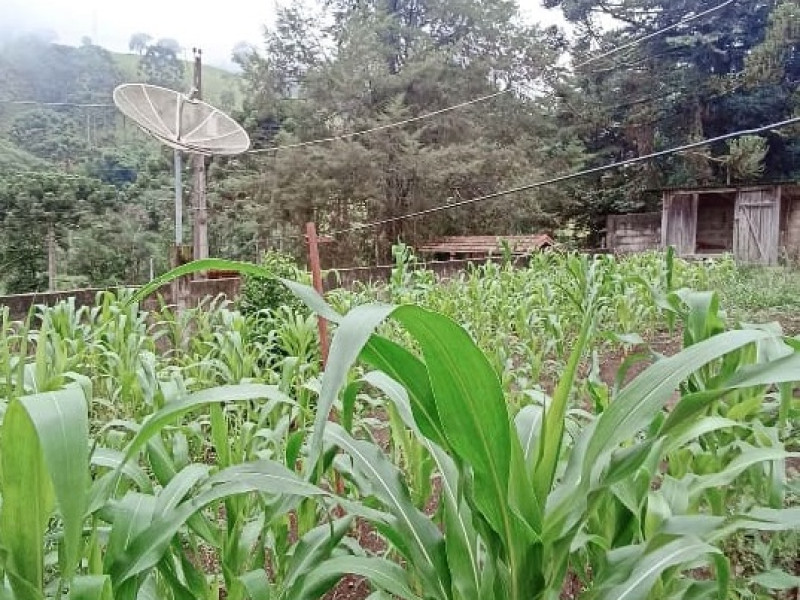 Casa no Distrito dos Costas