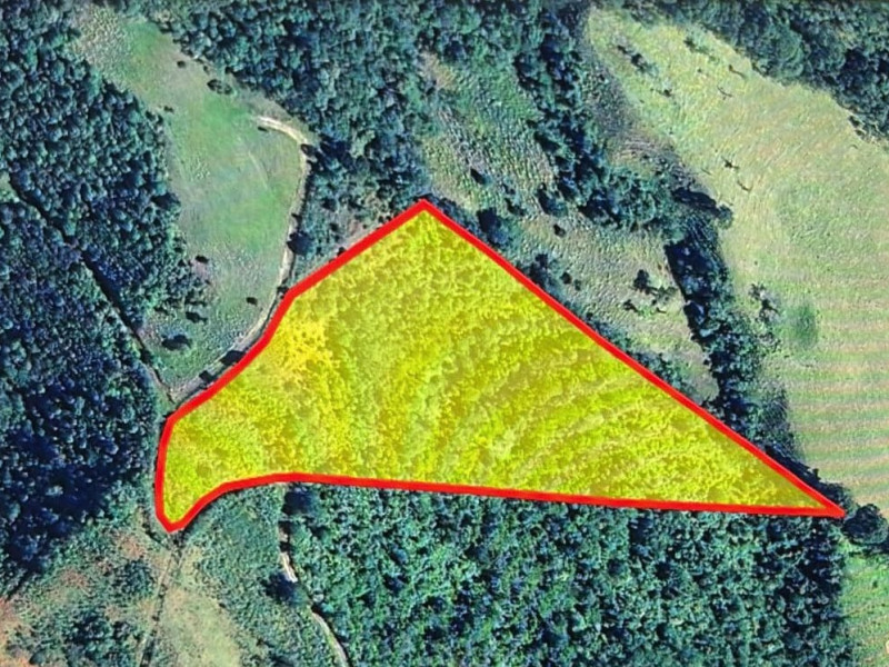 Área no Distrito dos Costas