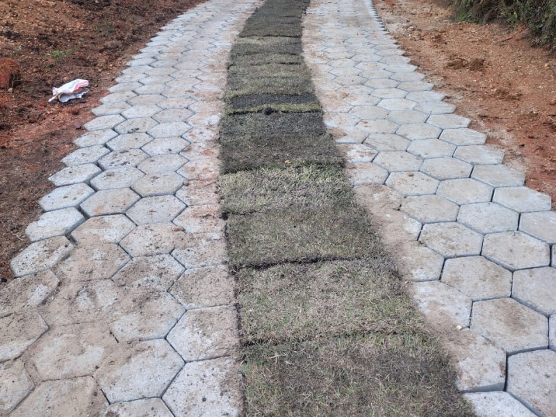 Área no Distrito dos Costas