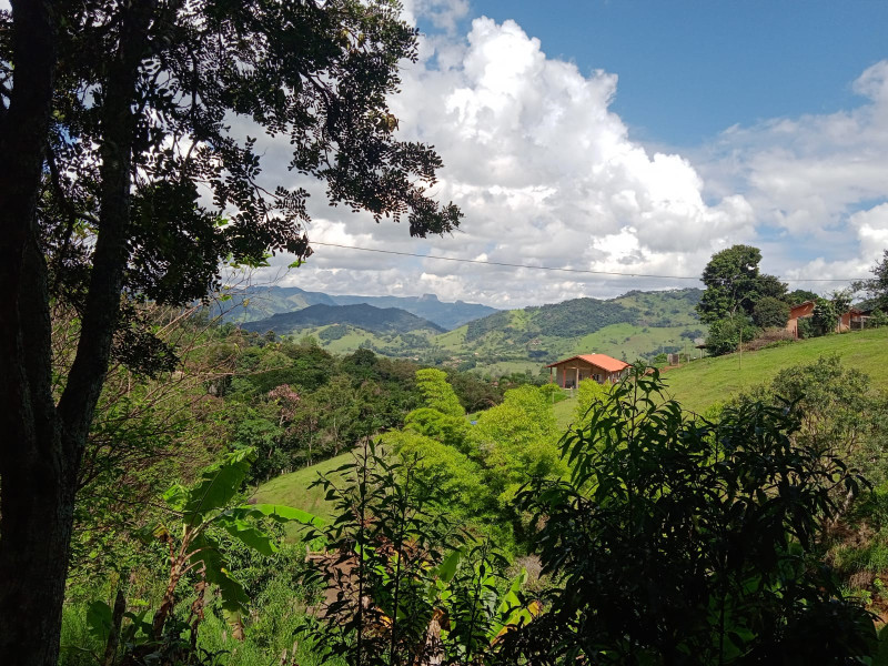 Imovel em Goncalves