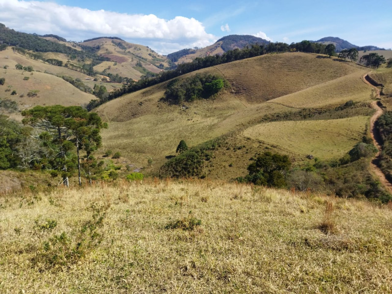 Area proximo a Goncalves