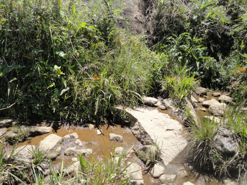 Area proximo a Goncalves