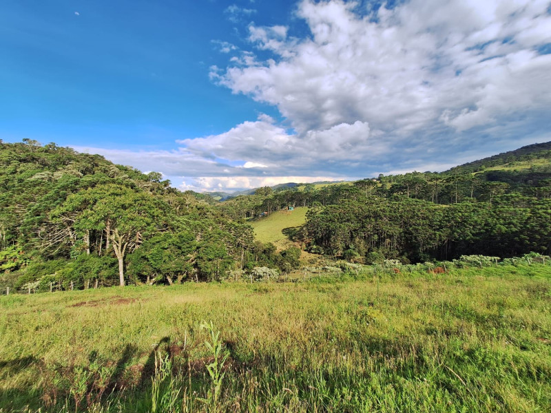 Chacara em Goncalves