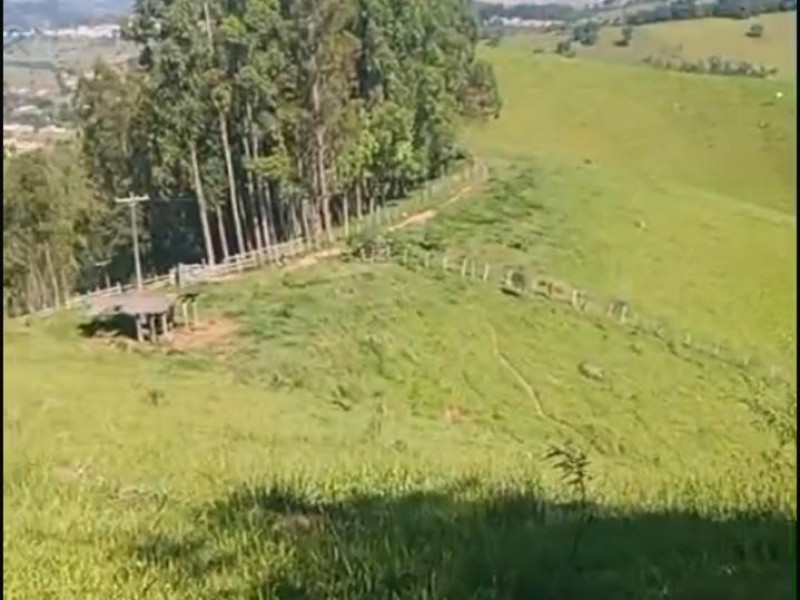 Area em Corrego do Bom Jesus