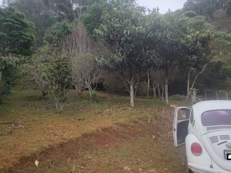 Chacara em Paraisopolis