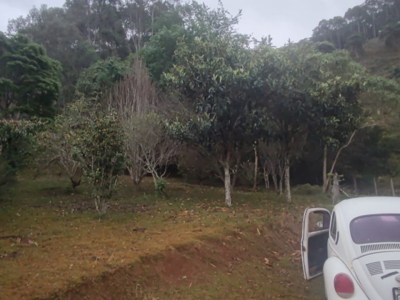 Chacara em Paraisopolis