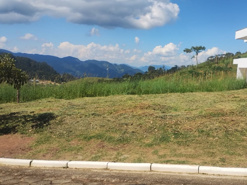 Lote em Goncalves