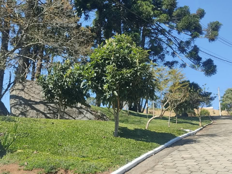 Lote em Goncalves