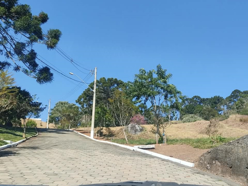 Lote em Goncalves
