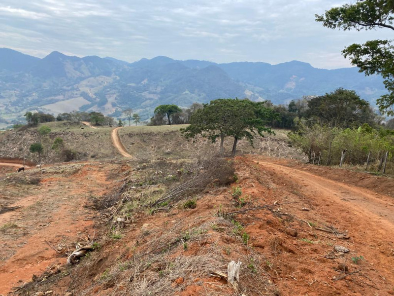 Área em Gonçalves