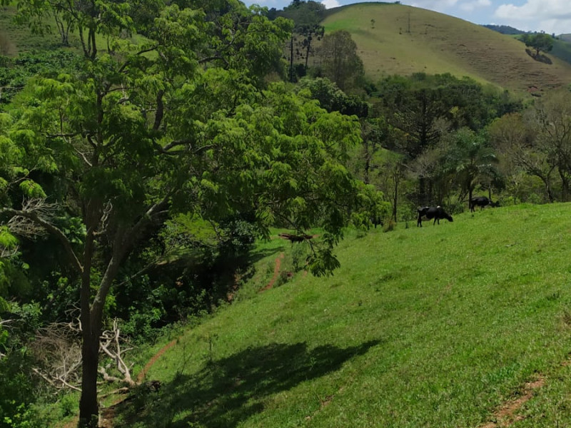 Imóvel em Paraisópolis