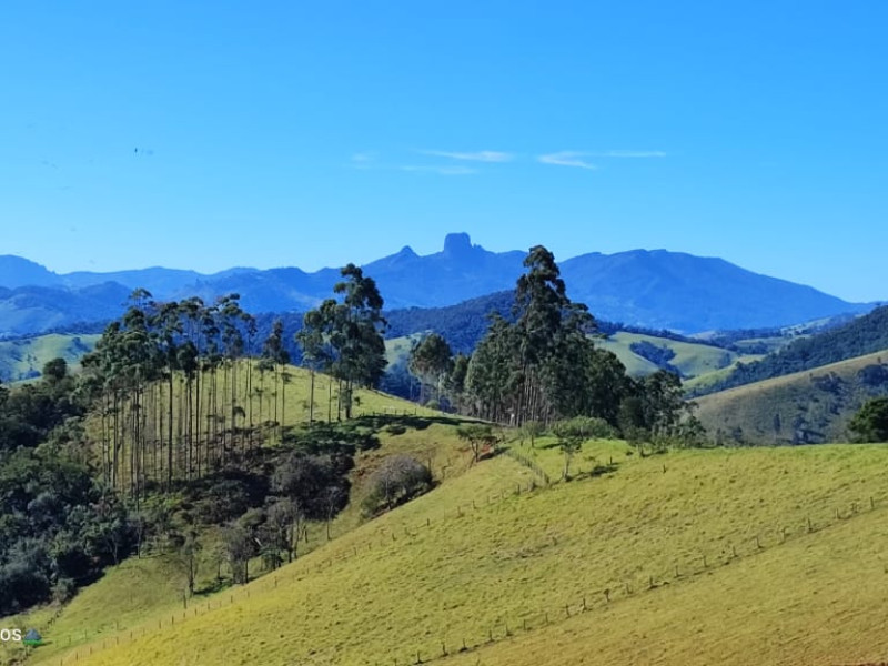 Imóvel em Santo Antônio do Pinhal